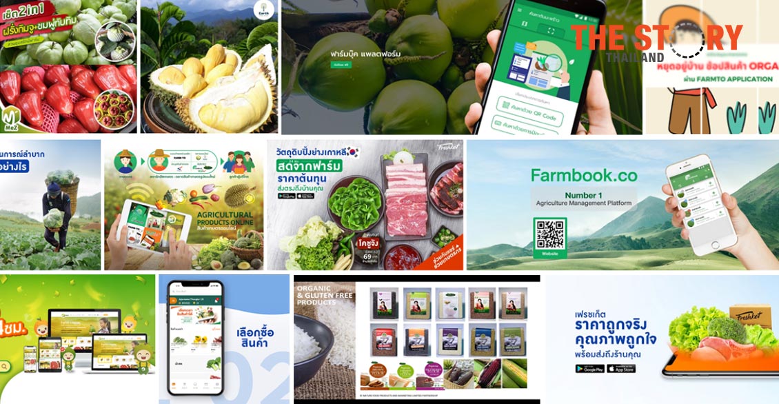 เอ็นไอเอหนุน 4 กลุ่มแพลตฟอร์มช่วยระบายสินค้าเกษตร ช่วงโควิด-19