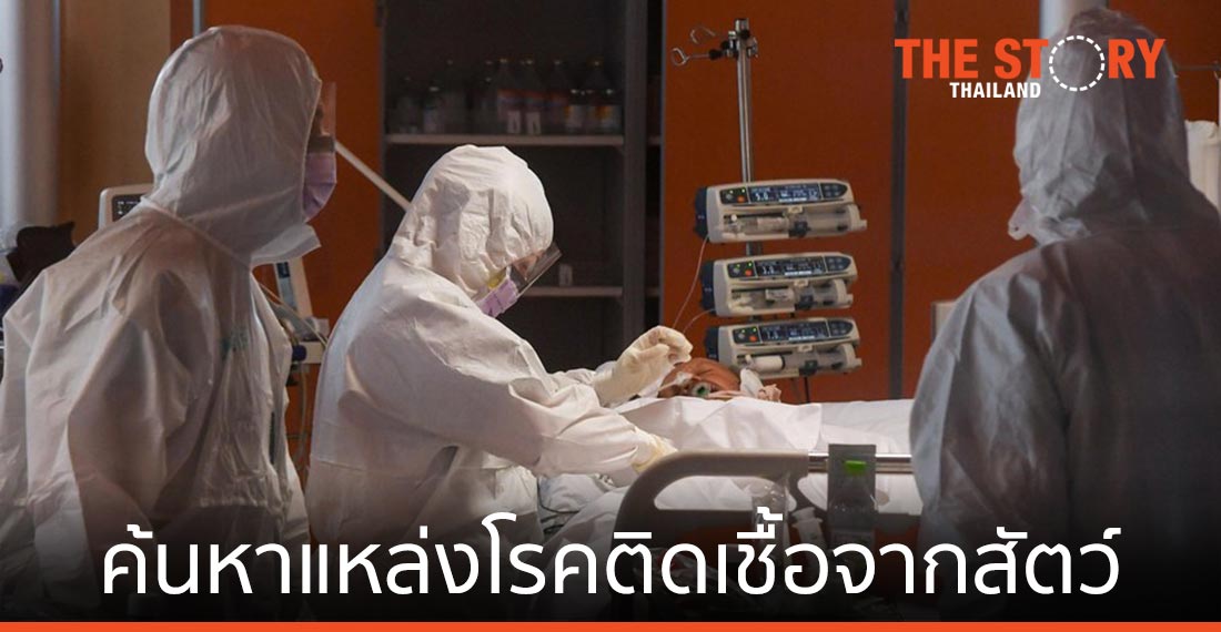 WHO ติดต่อผู้เชี่ยวชาญเตรียมค้นหา ‘แหล่งโรคติดเชื้อจากสัตว์ที่ก่อโควิด-19’