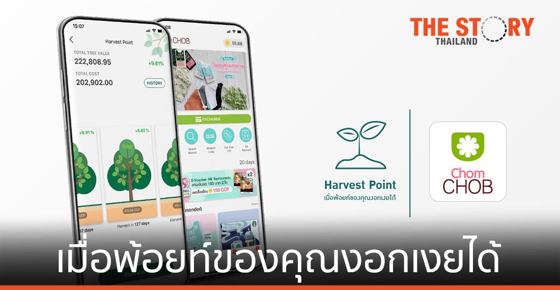ChomCHOB ส่งฟีเจอร์ “Harvest Point” เมื่อพ้อยท์ของคุณงอกเงยได้
