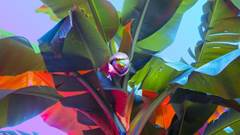 Graphical user interface
Description automatically generated