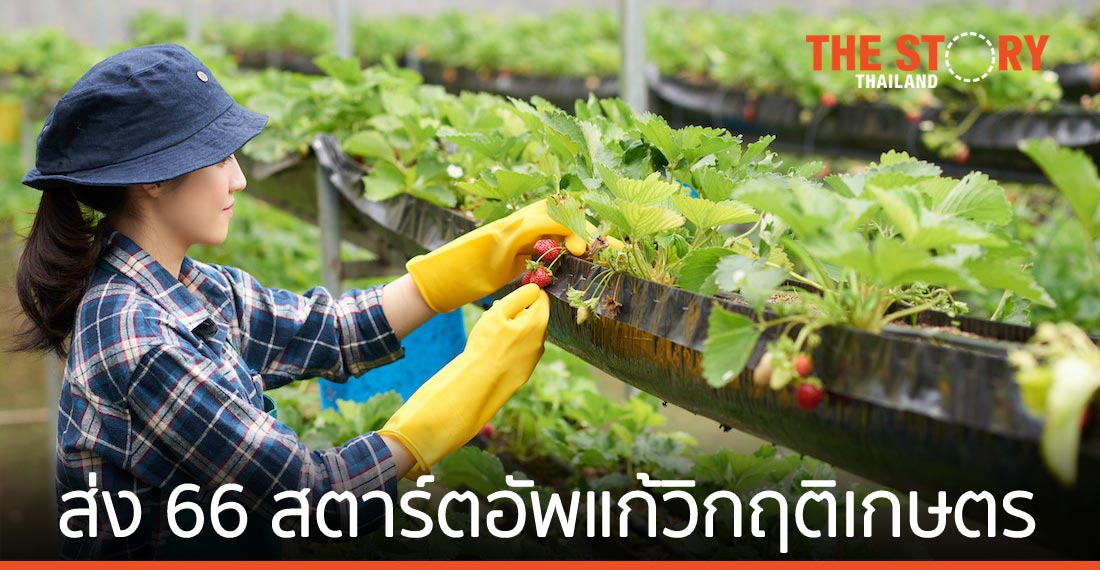 เอ็นไอเอ เตรียมส่ง 66 สตาร์ตอัพร่วมแก้วิกฤติภาคเกษตรไทย