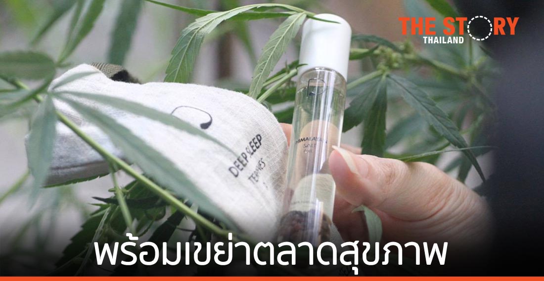 GTH เปิดตัวผลิตภัณฑ์ใหม่จาก “กัญชง” วางเป้ารายได้ปีแรกแตะ 500 ล้านบาท