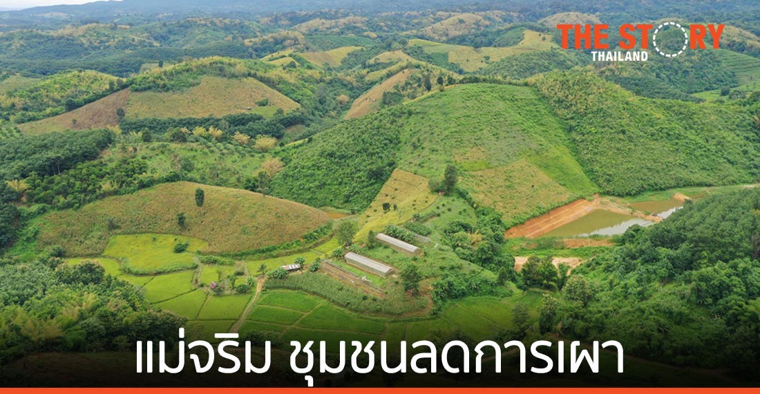 สวพส. โชว์ผลงานชุมชนแม่จริม “ชุมชนลดการเผาด้วยวิถีเกษตรตามแนวทางโครงการหลวง”