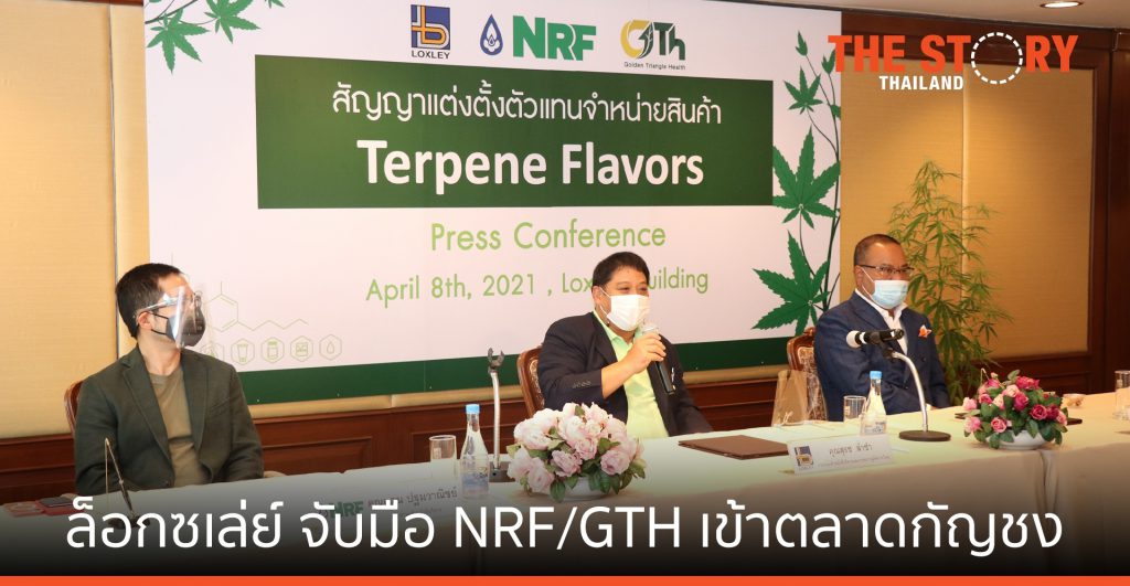 ล็อกซเล่ย์ จับมือ NRF และ GTH โดดเข้าตลาดกัญชง
