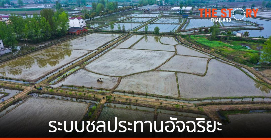 เกษตร 5G : จีนใช้ ‘ระบบชลประทานอัจฉริยะ’ ช่วยประหยัดน้ำ-เพิ่มผลผลิต