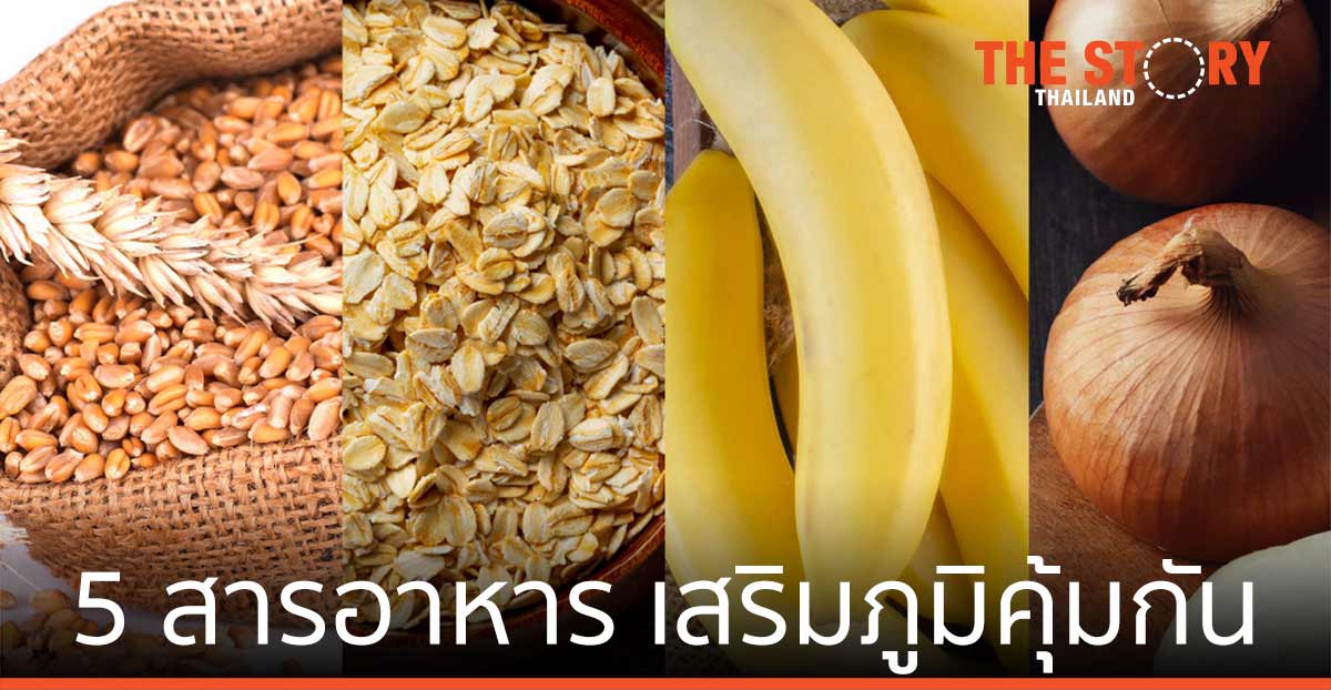 5 สารอาหารเสริมภูมิคุ้มกัน ห่างไกลไวรัส