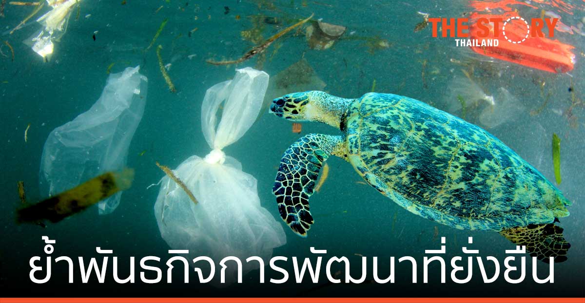 ยูนิโคล่ จับมือ WARF สนับสนุนกิจกรรม อนุรักษ์สัตว์ป่า สิ่งแวดล้อม