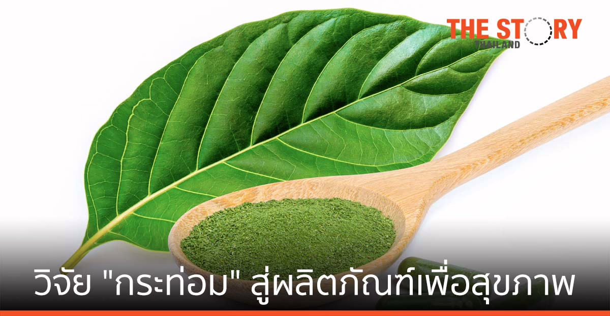 อินเตอร์ ฟาร์มา-ม.สงขลานครินทร์ วิจัย “กระท่อม” สู่ผลิตภัณฑ์เพื่อสุขภาพ