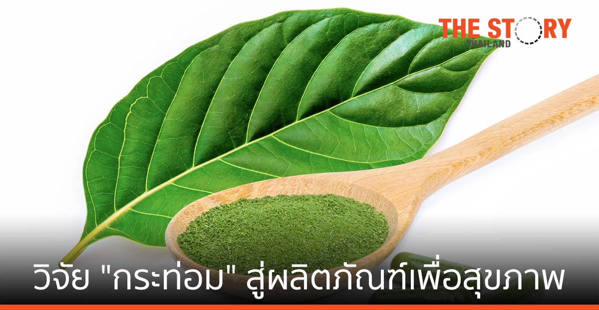 อินเตอร์ ฟาร์มา-ม.สงขลานครินทร์ วิจัย “กระท่อม” สู่ผลิตภัณฑ์เพื่อสุขภาพ