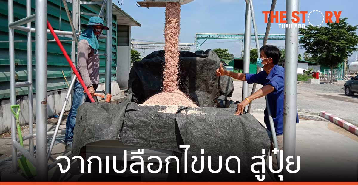 CPF จัดการเปลือกไข่บด จากรง.แปรรูปไข่ บ้านนา ให้ ชุมชนใช้ประโยชน์