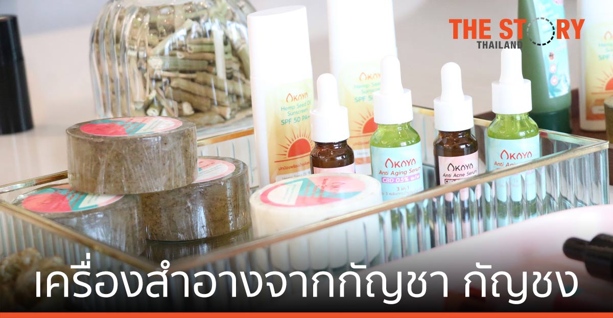 วิสาหกิจชุมชนเพลาเพลิน ร่วมมือ iColor พัฒนา เครื่องสำอางจากกัญชา กัญชง