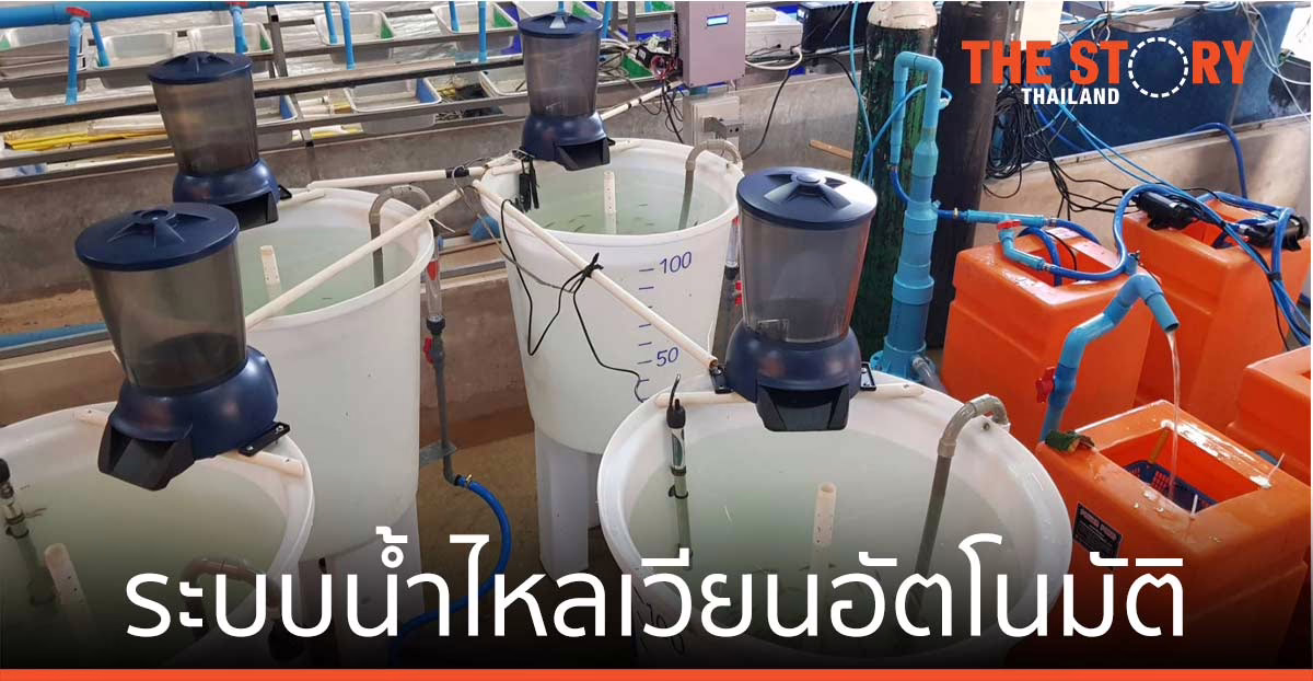 เอ็มเทค เตรียมถ่ายทอดเทคโนโลยี ‘เลี้ยงปลาหนาแน่นระบบน้ำไหลเวียนอัตโนมัติ’