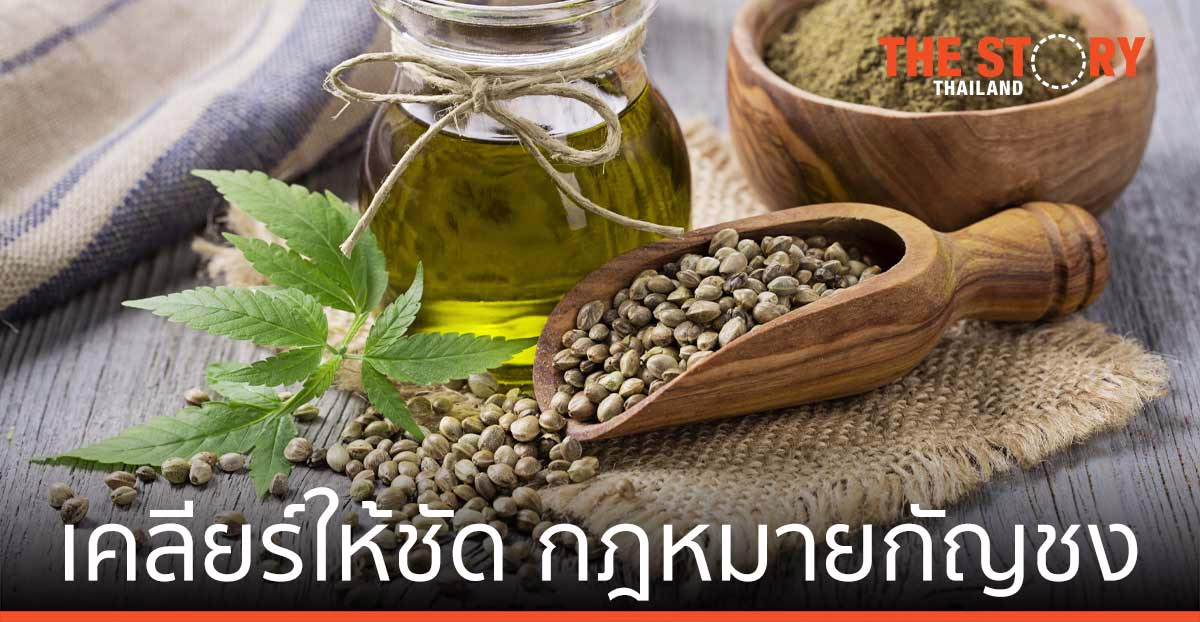 เคลียร์ให้ชัด กฎหมายกัญชง