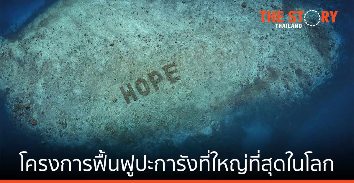 SHEBA เปิดตัว “Hope Reef” โครงการฟื้นฟูปะการังที่ใหญ่ที่สุดในโลก