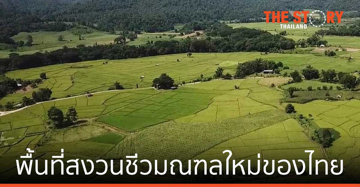 “ดอยเชียงดาว” พื้นที่สงวนชีวมณฑลใหม่ของไทย