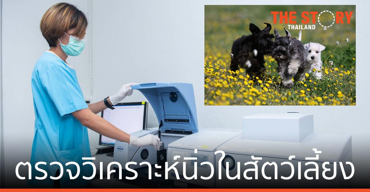 โรยัล คานิน มอบเว็บไซต์ตรวจโรคนิ่ว ในแมวและสุนัขพันธุ์เล็กให้กับรพ.สัตว์เกษตรฯ
