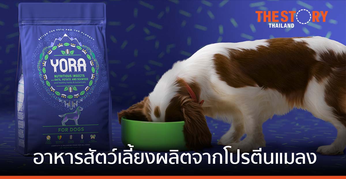 เปิดตัว YORA อาหารสัตว์เลี้ยงผลิตจากโปรตีนแมลง