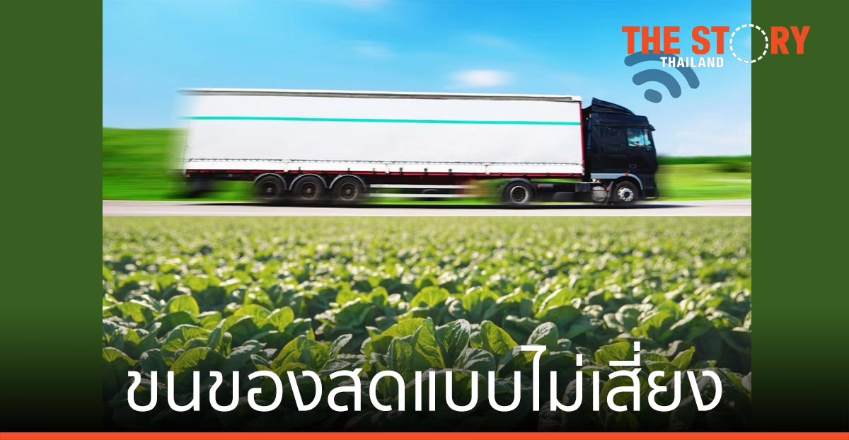 ขนของสดแบบไม่เสี่ยง