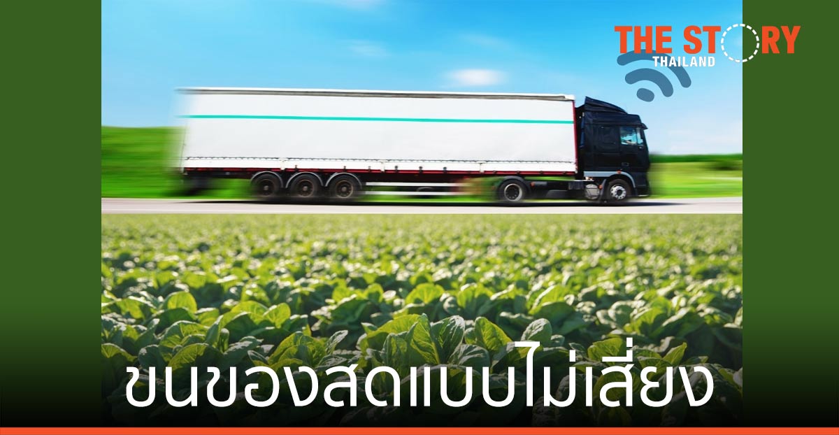 ขนของสดแบบไม่เสี่ยง