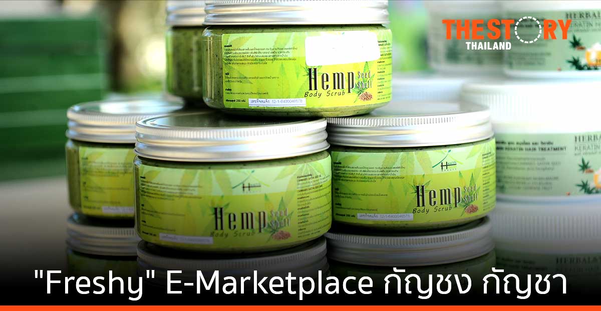 Green Melody เปิดตัว Freshy อีมาร์เก็ตเพลส กัญชง กัญชา แห่งแรกของไทย
