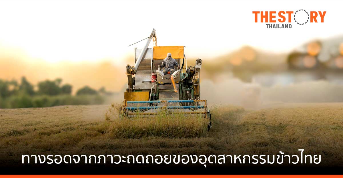 ทางรอดจากภาวะถดถอย ของอุตสาหกรรมข้าวไทย