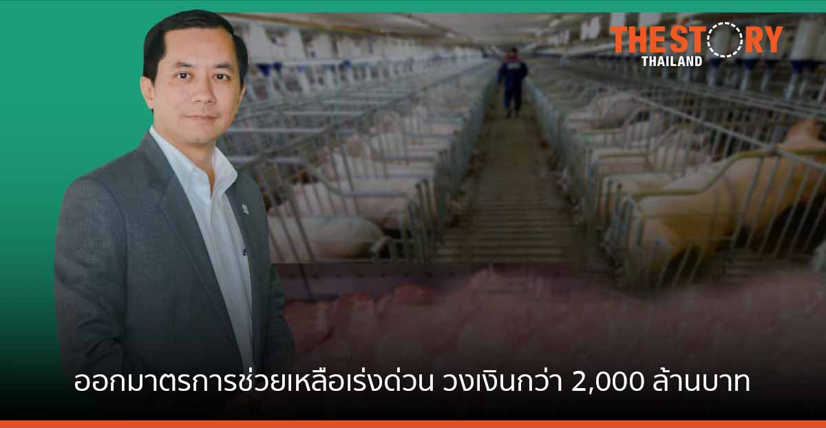 กสิกรไทย ออกมาตรการช่วยฟาร์มหมูและผู้ค้า จากวิกฤติหมูแพง วงเงินกว่า 2,000 ล้านบาท