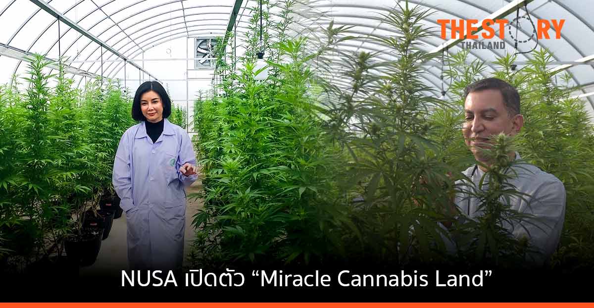 ณุศาศิริ ทุ่ม 1,700 ล้าน เปิดตัว ‘เมืองมหัศจรรย์กัญชา’