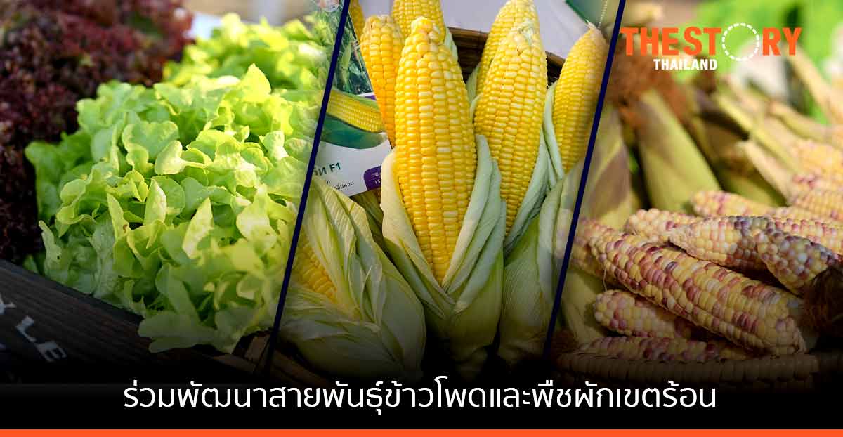อีสท์ เวสท์ ซีด ผนึกซันสวีท พัฒนาสายพันธุ์ข้าวโพดสู่ตลาดพร้อมรับประทาน