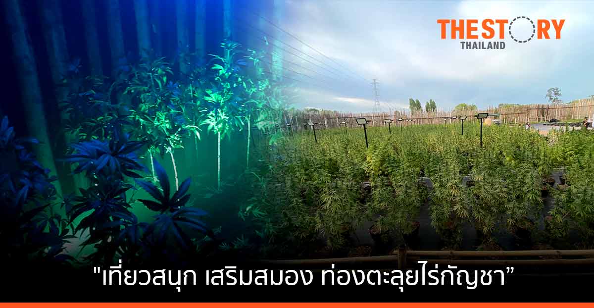 เลเจนด์ สยาม พัทยา ปรับโฉมใหม่ “เที่ยวสนุก เสริมสมอง ท่องตะลุยไร่กัญชา”