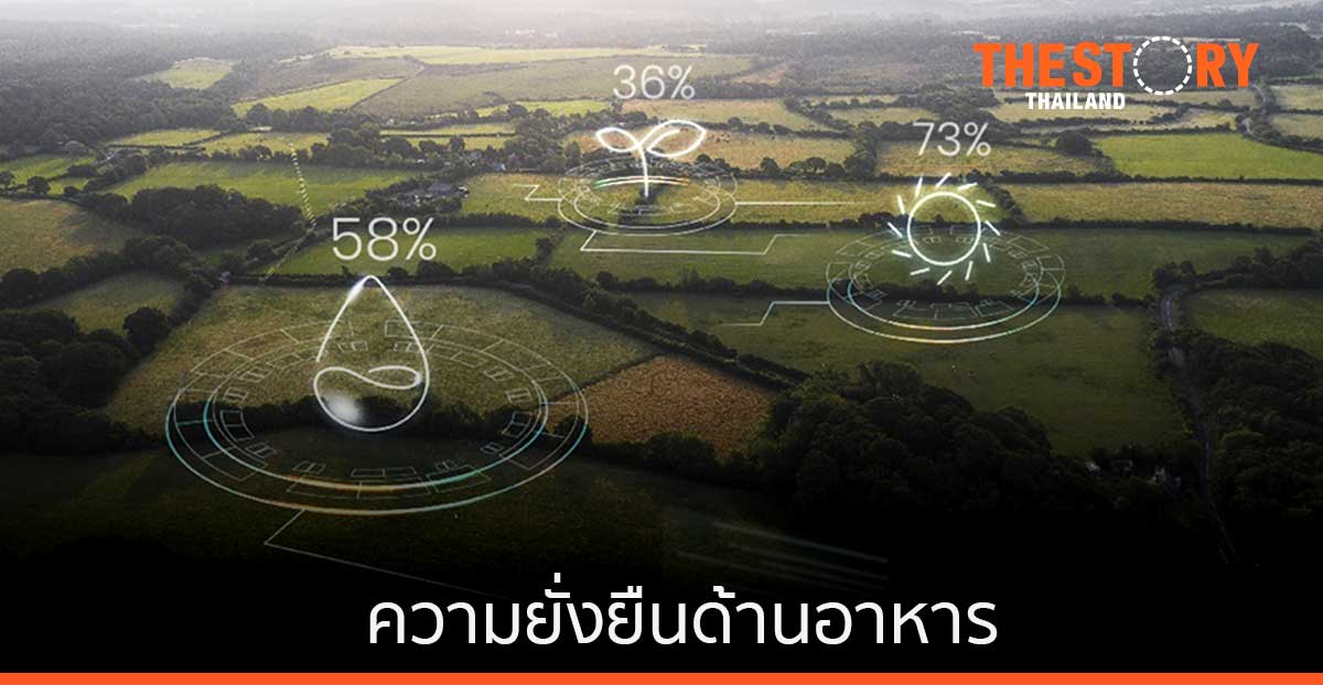 อินฟอร์เผย อนาคตของความยั่งยืนด้านอาหาร