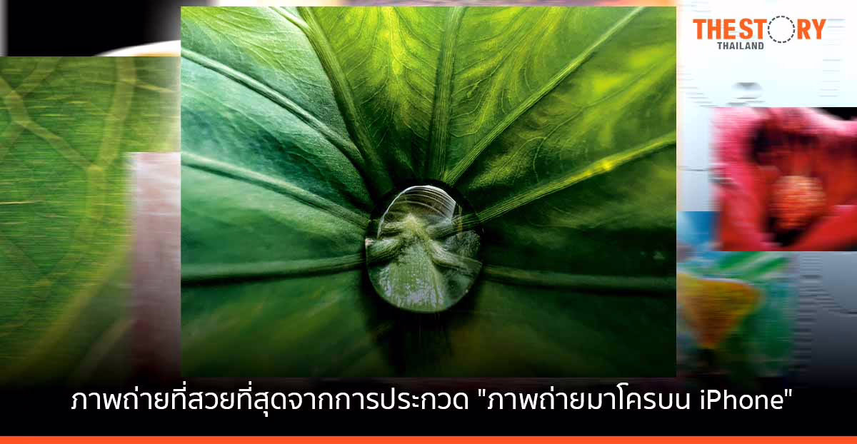 Apple เผยโฉมภาพถ่ายที่สวยที่สุดจากการประกวด “ภาพถ่ายมาโครบน iPhone”