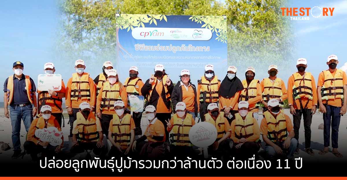 ซีพีแรม – ชาวบ้าน จ.สุราษฎร์ธานี ร่วมปล่อยลูกพันธุ์ปูม้ารวมกว่าล้านตัว ต่อเนื่องกว่า 11 ปี