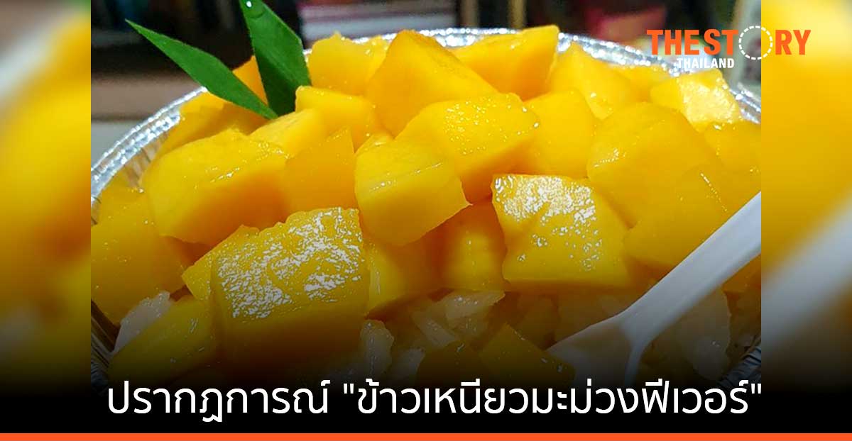 ปรากฏการณ์ "ข้าวเหนียวมะม่วงฟีเวอร์" วันเดียวพูดถึงกว่า 30,000 ข้อความ