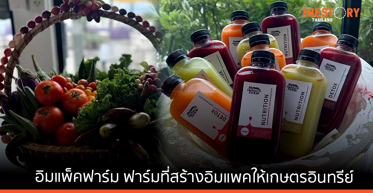 “อิมแพ็ค ฟาร์ม” โครงการ CSR ของบางกอกแลนด์ หวังสร้างอิมแพคให้เกษตรกรอินทรีย์ไทย