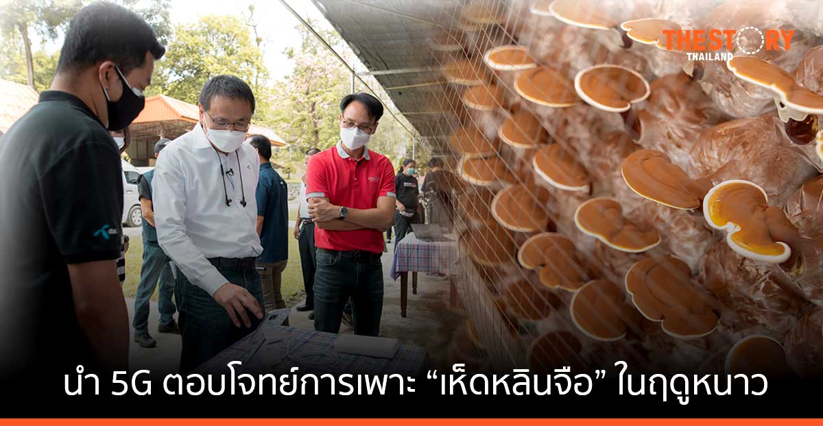 ดีแทค-มูลนิธิชัยพัฒนา-เนคเทค นำ 5G ตอบโจทย์การเพาะ “เห็ดหลินจือ” ในฤดูหนาวสำเร็จ