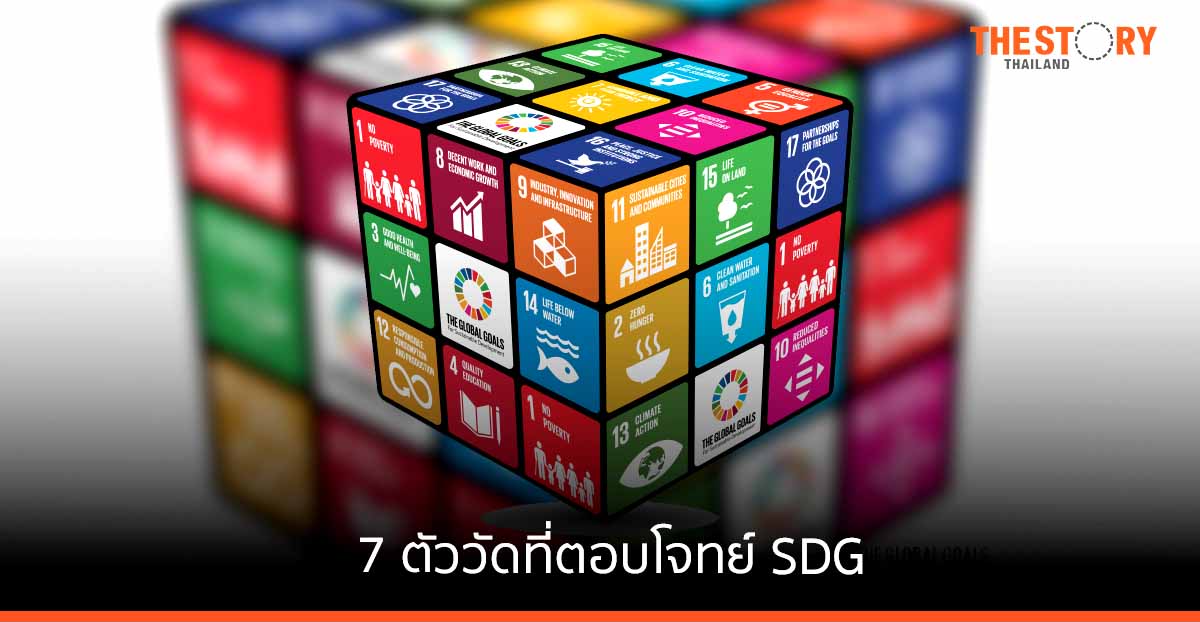 7 ตัววัดด้านสังคมที่กิจการมีข้อมูลและตอบโจทย์ SDG