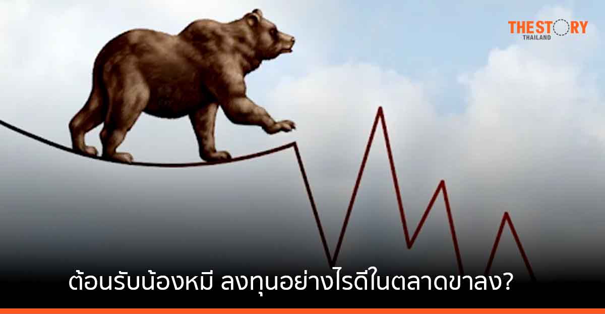 เปิดเทคนิคต้อนรับน้องหมี ลงทุนอย่างไรดีในตลาดขาลง?