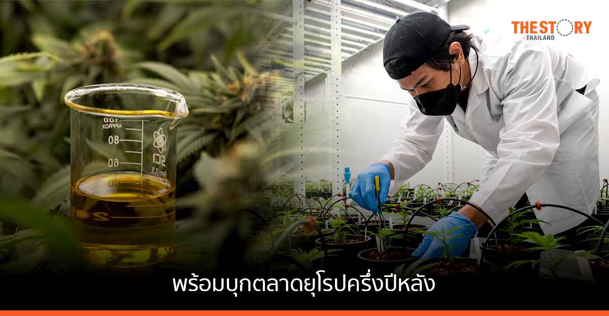 GTG พร้อมบุกตลาดยุโรปครึ่งปีหลัง นำร่องเยอรมัน เร่งคลอดสินค้าใหม่ตีตลาดในประเทศ