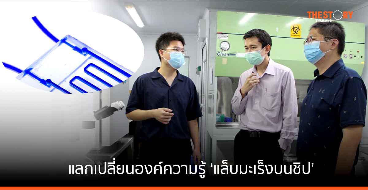 วิศวะมหิดล – ม.นิวยอร์ค แลกเปลี่ยนความรู้ ‘แล็บมะเร็งบนชิป’ ตรวจมะเร็งในผู้ป่วยสู่การรักษาได้เร็วขึ้น