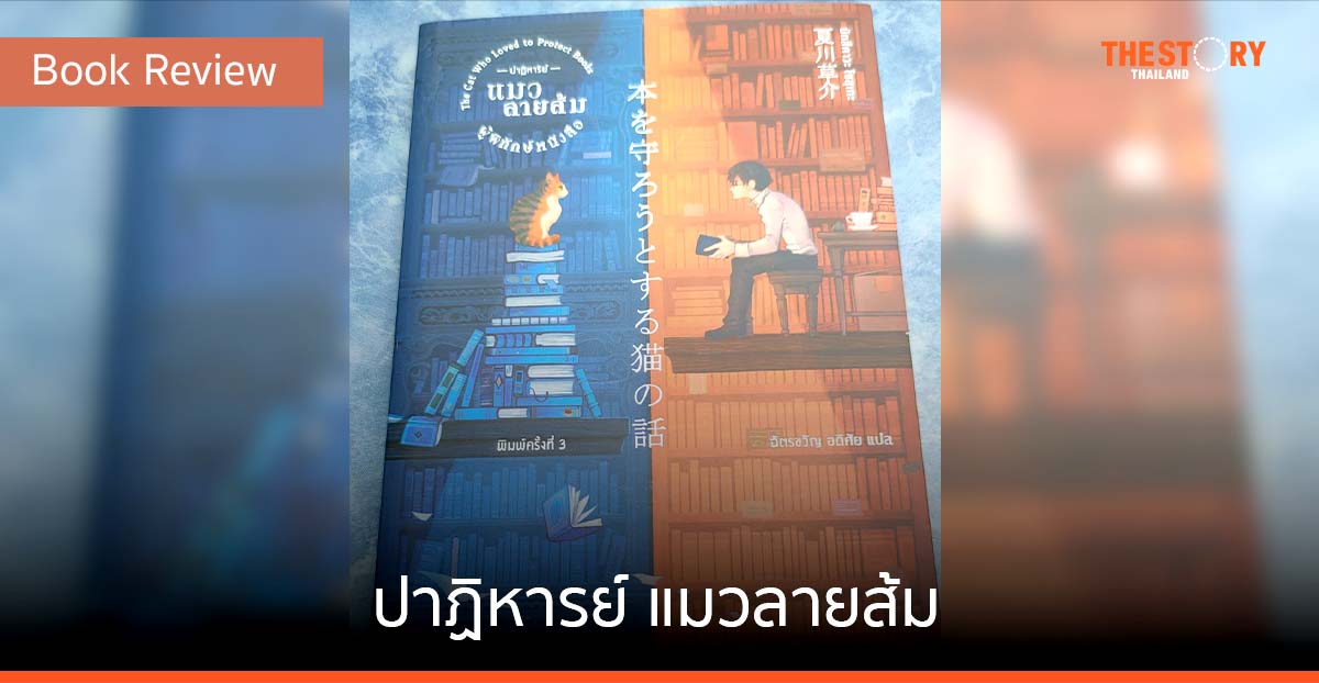 ปาฏิหารย์ แมวลายส้ม