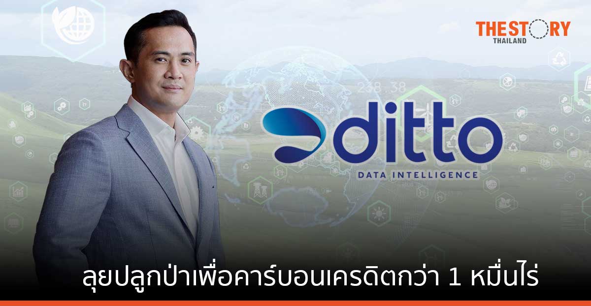 “ดิทโต้” ลุยปลูกป่าเพื่อคาร์บอนเครดิตกว่า 1 หมื่นไร่ เผยสัญญายาว 30 ปี ได้รับจัดสรรคาร์บอนเครดิต 90%