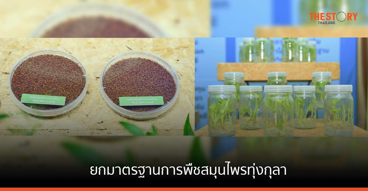 สวทช. ผนึกพันธมิตร ยกระดับมาตรฐานพืชสมุนไพร ใช้กลไกตลาดนำการผลิต สร้างรายได้ให้เกษตรกร