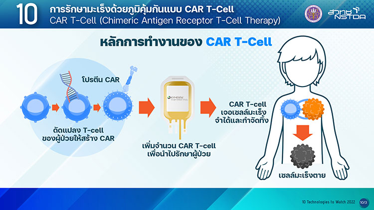 การรักษามะเร็งด้วยภูมิคุ้มกันแบบ CAR T–Cell