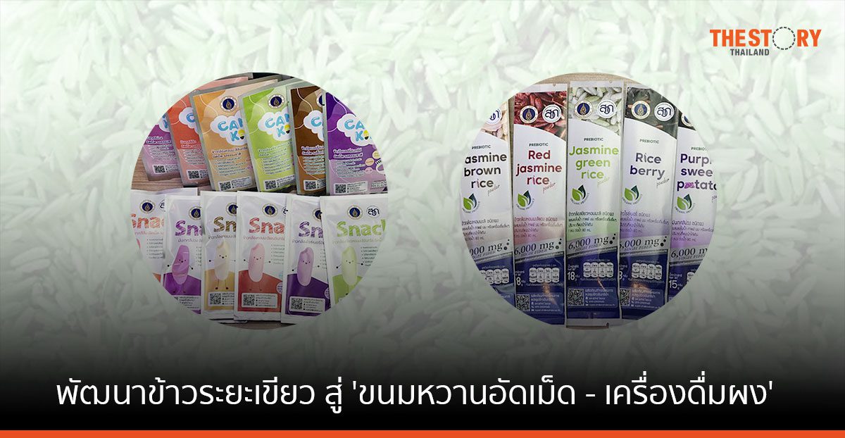 ม.มหิดล พัฒนาข้าวระยะเขียว สู่ ‘ขนมหวานอัดเม็ด – เครื่องดื่มผง’ เพื่อคนแพ้นมและถั่วเหลือง