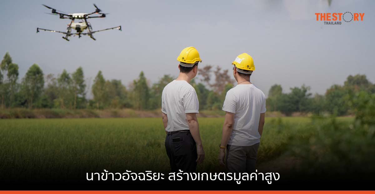 ไฮฟ์กราวนด์ จับมือ ยนต์ผลดี ลุยโมเดลนาข้าวอัจฉริยะด้วยโดรน