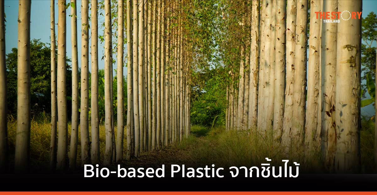 นวัตกรรม ‘Bio-based Plastic จากชิ้นไม้ยูคาลิปตัสสับ’ เพิ่มมูลค่าทางธุรกิจจาก พืชหมุนเวียน สู่ พลาสติก Bio-PET