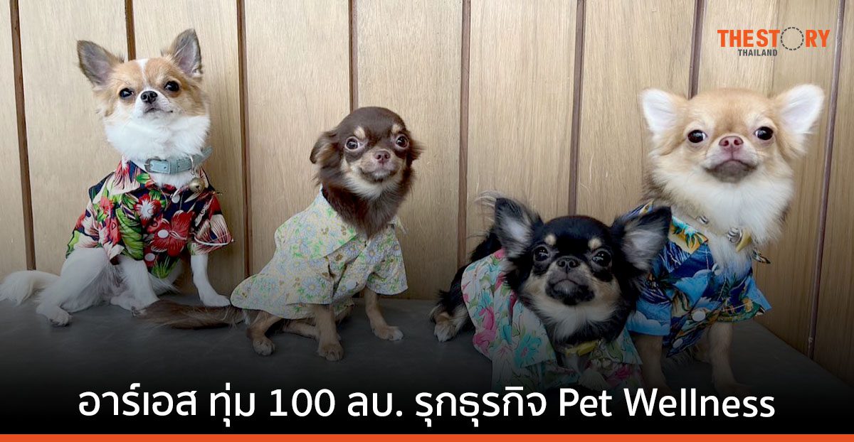 เมื่อสัตว์เลี้ยงเป็นเสมือนคนในครอบครัว ดันธุรกิจสัตว์เลี้ยงเติบโตหมื่นล้าน