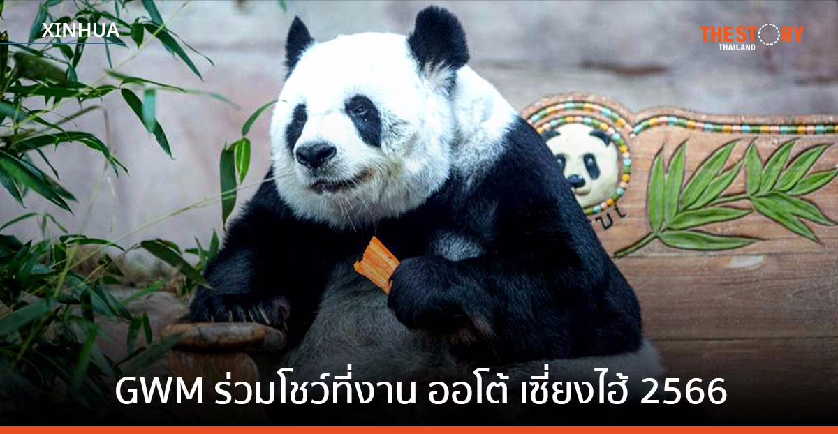 จีนเตรียมร่วมหาสาเหตุการตายของแพนด้า ‘หลินฮุ่ย’