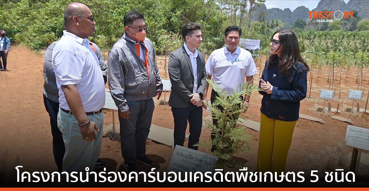 ”ต้นซิลเวอร์โอ้ค” พืซเศรษฐกิจใหม่ ช่วยฟอกอากาศเสีย แก้ปัญหาโลกร้อน