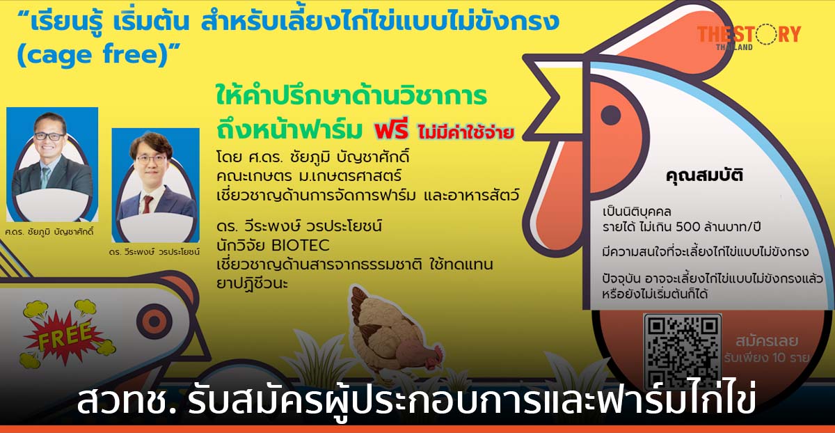 ITAP สวทช. รับสมัครผู้ประกอบการและฟาร์มไก่ไข่ ร่วมโครงการเลี้ยงไก่ไข่แบบไม่ขังกรง